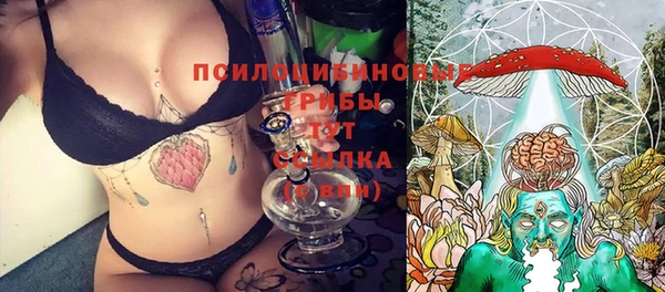 MDMA Premium VHQ Карпинск