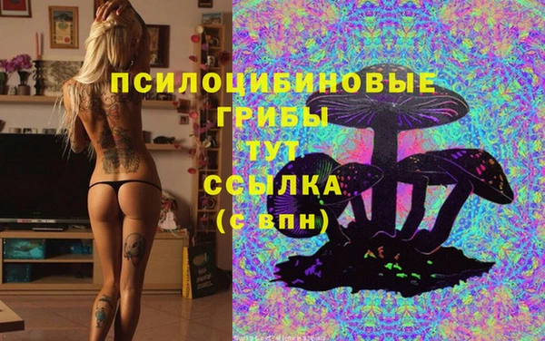 MDMA Premium VHQ Карпинск