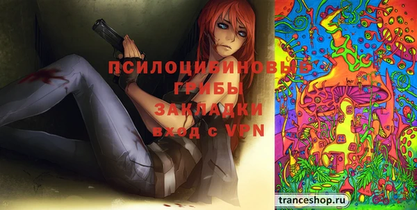 PSILOCYBIN Кинешма