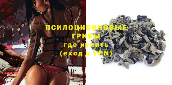 соль ск Касимов